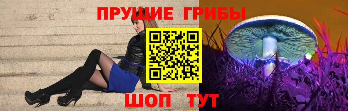 Псилоцибиновые грибы GOLDEN TEACHER Сафоново
